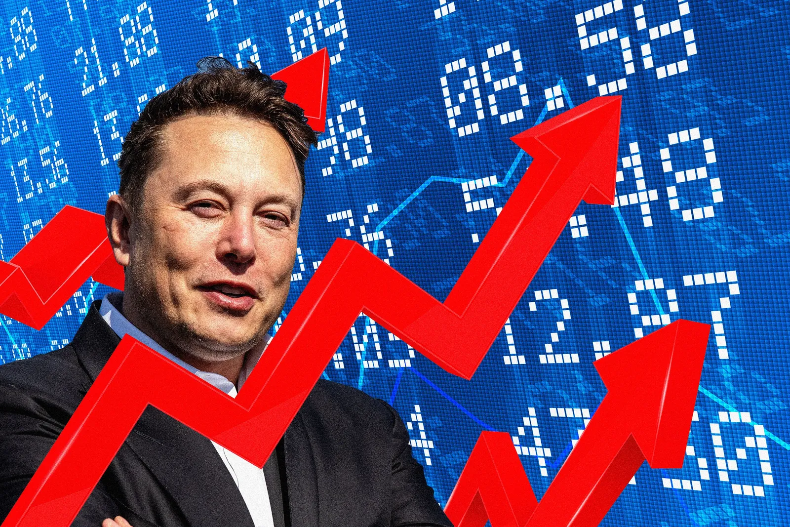 Investment Education